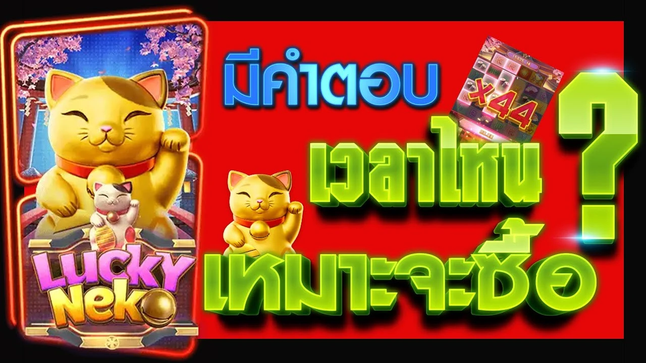 lucky neko เว็บ ตรง